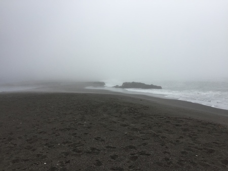 Goat Rock Beach -  northwestern Sonoma County, California,  is the mouth of the Russian River, and the southern end of this crescent shaped expanse is the massive Goat. Seagull, Seal.の写真素材