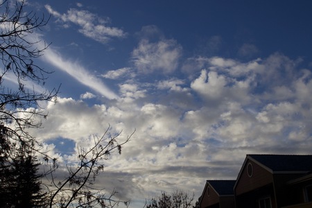 Santa Rosa, California is the largest city in California's Redwood Empire, Wine Country and the North Bay - natures.の写真素材