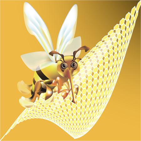 bee; insect; vector; honeyのイラスト素材