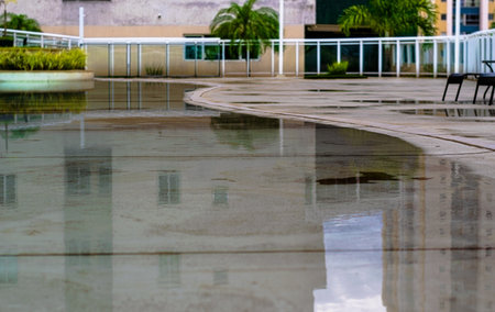 reflection of buildings in the pool with plants in the background and buildings
