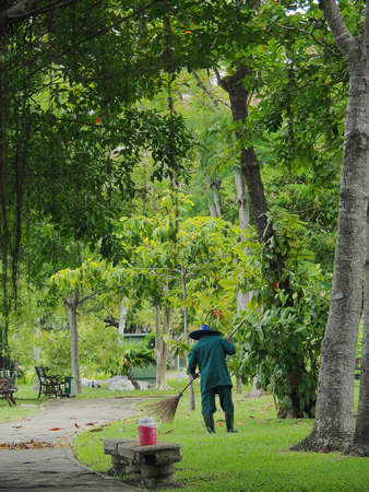 A Gardener Removes Fallen Leaves With Wooden Long Handle Broomの素材