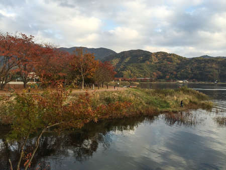 Autumn Beauty Of Lake Kawaguchiko, Japan