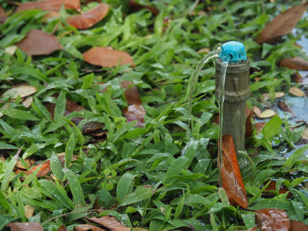 Lawn Sprinkler In The Parkの写真素材