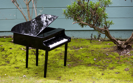 black toy piano on a lawnの写真素材