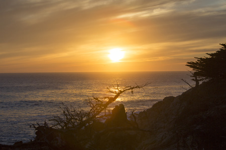 beautiful sunset on a beach with pine treeの写真素材