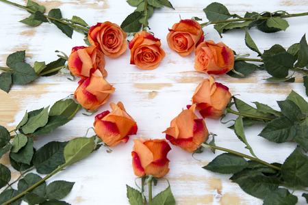 heart shape of orange roses on woodの写真素材