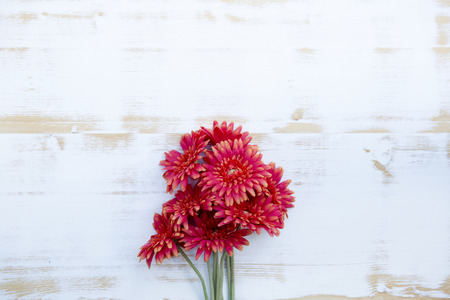 bunch of beautiful red flowers on a white vintage wooden backgroundの写真素材