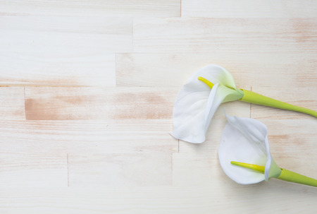 two white calla lilies on a bright wooden backgroundの写真素材