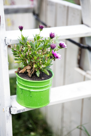 flowers in a green pot on wooden ladder in gardenの写真素材