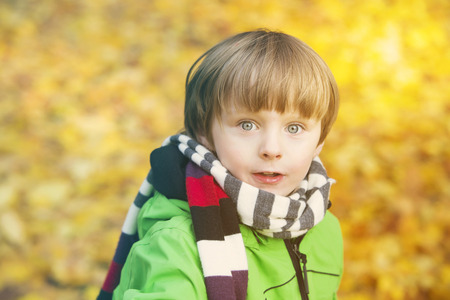 portrait of a boy in a park in the fallの写真素材