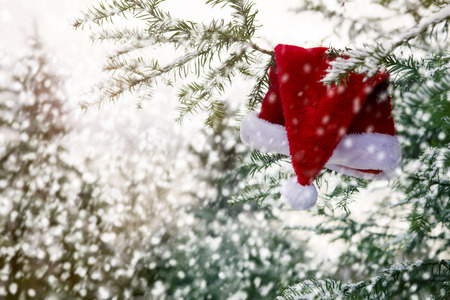 red Santa hat hanging on a tree branch in the snowの写真素材