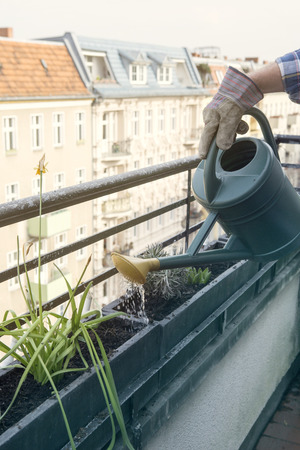 closeup of man watering plants on rooftop balconyの写真素材