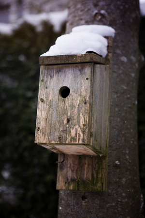 wooden bird house covered in snow hanging on a tree outside