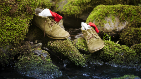 pair of shoes with socks on stone with green moss by a creekの写真素材