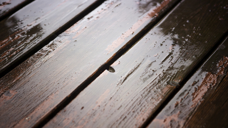 closeup of wooden planks in the rainの写真素材