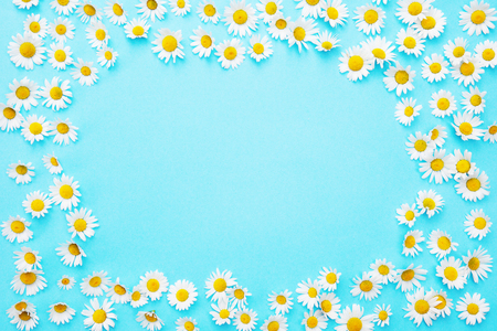 Framed blue background with white beautiful daisiesの写真素材