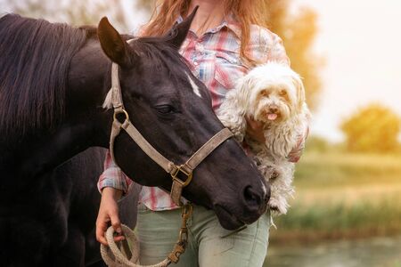 portrait of young woman with her horse and her little dog