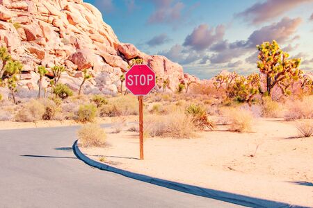road in the desert with stop signの写真素材