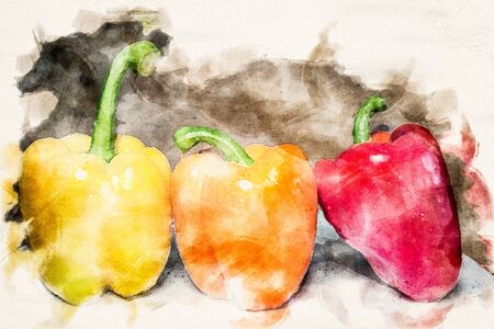 three bellpeppers in different colors in the style of an aquarelleの写真素材
