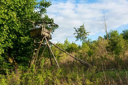 wooden hunterâs seat outdoors next tor treesの写真素材