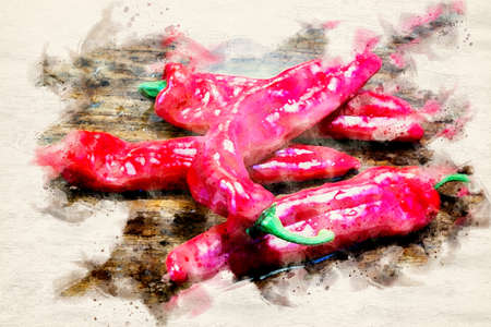 close-up of big red chili on wooden table in watercolorsの写真素材