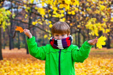 portrait of young boy in park in autumn playing with leavesの写真素材