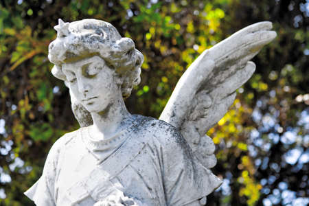 sculpture of angel with tree in the backgroundの写真素材