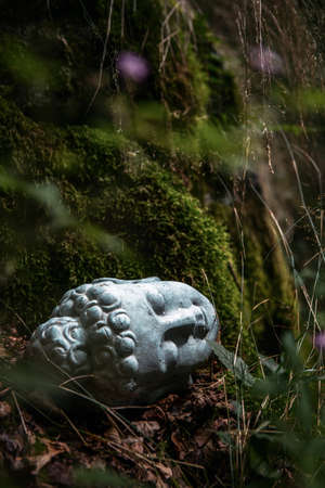 stone buddha head lying on moss in natureの写真素材