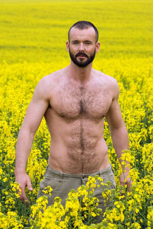 portrait of muscular shirtless man standing a canola fieldの写真素材