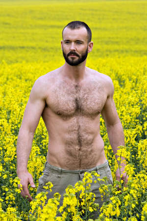 portrait of muscular shirtless man standing a canola fieldの写真素材