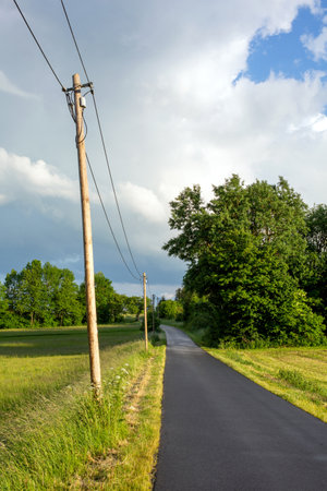 small road on the countryside with fields and treesの写真素材