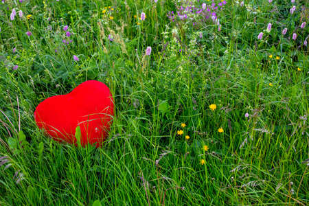 red stuffed fluffy heart lying in a green flower fieldの写真素材