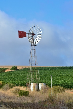 Landscape with water pump windmill on cattle farm westerncape south africa