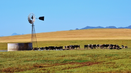 Landscape with windmill water pump on a farm westerncape south africaの写真素材