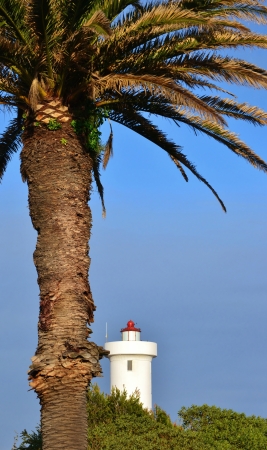 Landscape with Lighthouse on Woodbridge Island Milnertonの写真素材