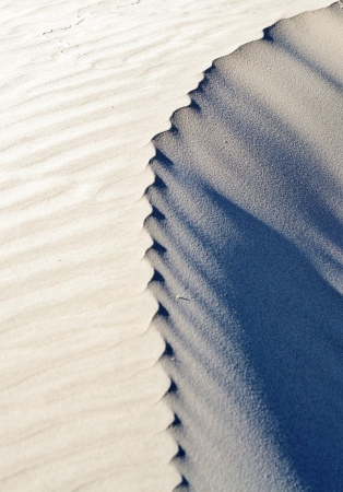 Wind pattern in dune sand on the beachの写真素材