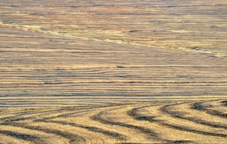 Landscape with burned harvested wheat fieldsの写真素材