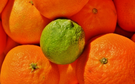 Close up of orange mandarin and green lime fruitsの写真素材