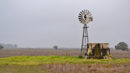 Landscape with water pump windmill on cattle farm westerncape south africa