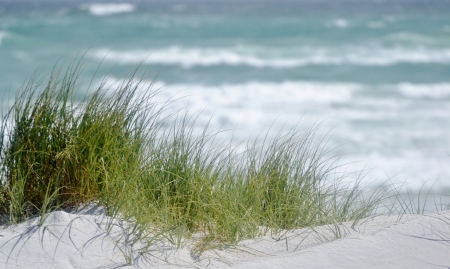 Landscape with Atlantic Ocean and dune grassの写真素材