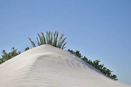 Landscape with white dunes and blue skyの写真素材