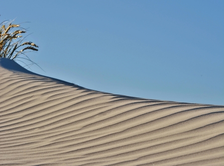 Dune landscape on the Big Bay beach Cape Town