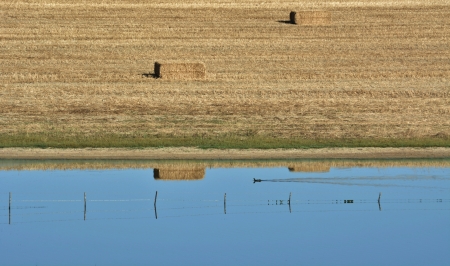 Landscape with dry wheat fields and bales of strawの写真素材