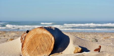 Close up of tree log covered by sandの写真素材
