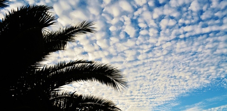 Blue summer sky with little white puffy cloudsの写真素材