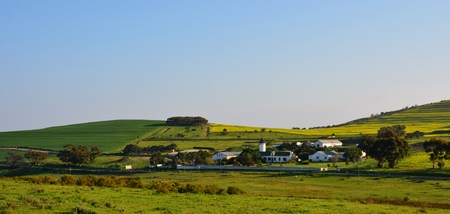 Landscape with yellow canola fields and Farm