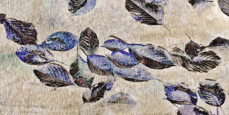 Close up of leafs swimming in a pondの写真素材