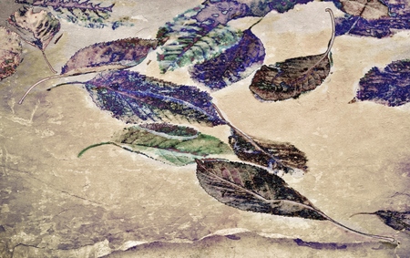 Close up of leafs swimming in a pondの写真素材