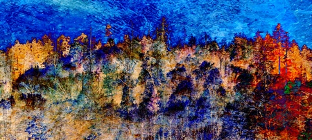 Landscape with Forest in Autumn colorsの写真素材