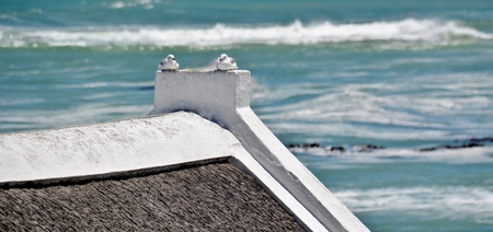 Seascape with two Seagulls sitting on a roofの写真素材